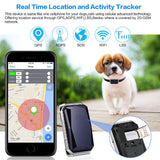 Smart Pet GPS Tracker - Real-Time Location Monitoring with Mobile App