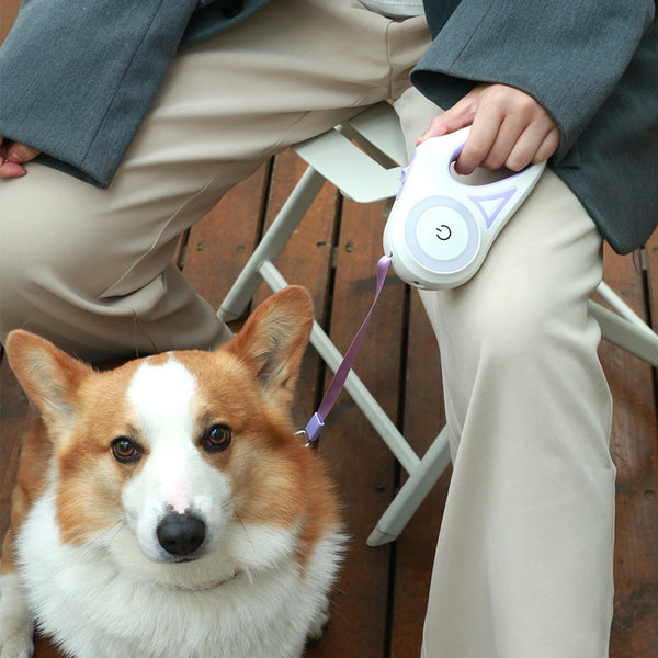 multi-functional retractable leash with built-in LED spotlight and collar