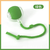 Cat Interactive ball Toy, Automatic Rolling Ball with Tail, Rechargeable Smart Pet Interactive Toy, Intelligent toy for Cat